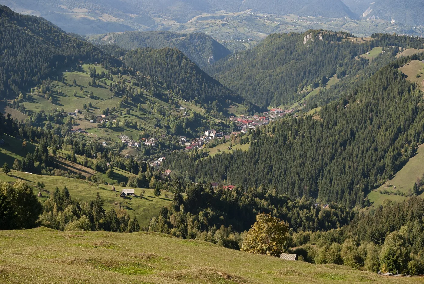Cazare în Bran